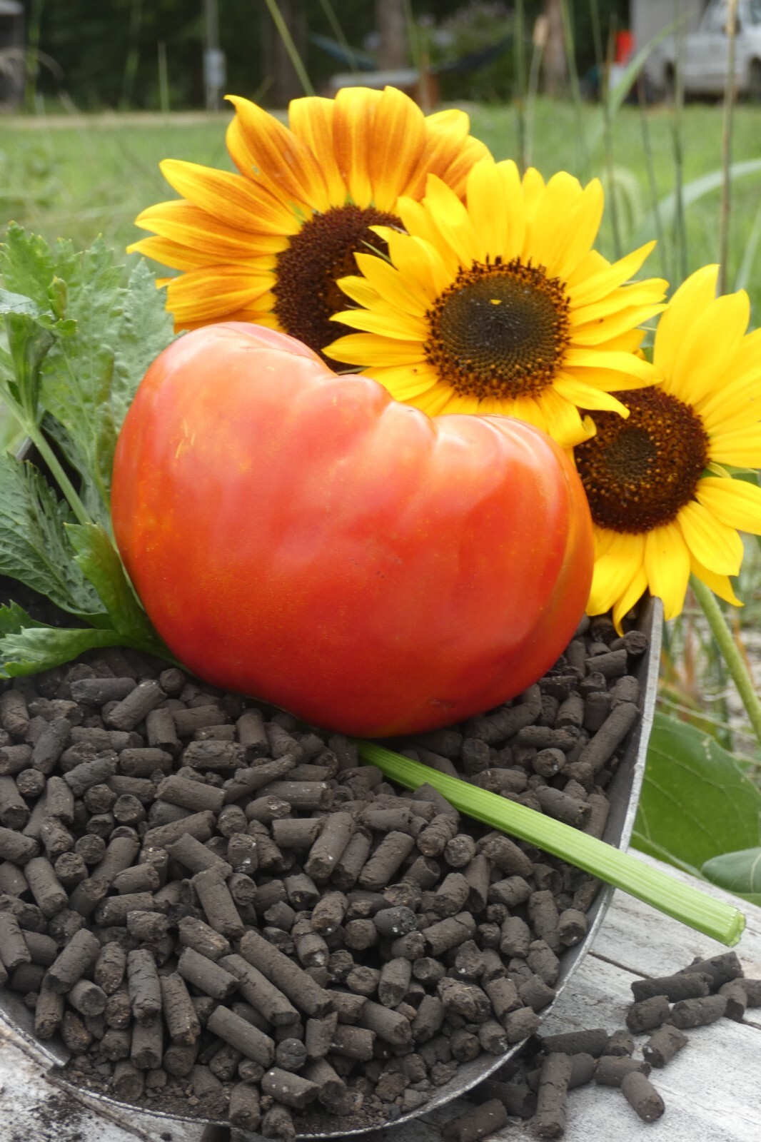 Chicken POOP Manure Fertilizer Pellet Biochar Humate & Live Microbes 2gal 11lb