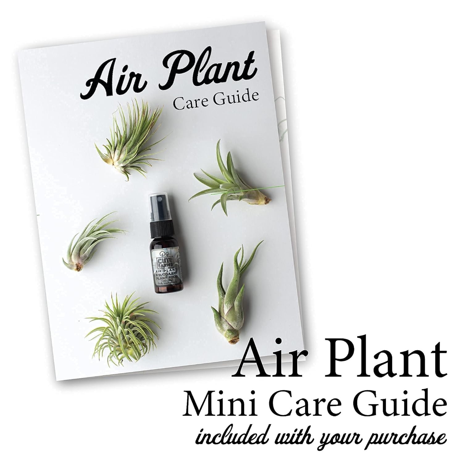 Tillandsia Air Plant Fertilizer | Gentle Weekly Use Formula Plant Food | Formula