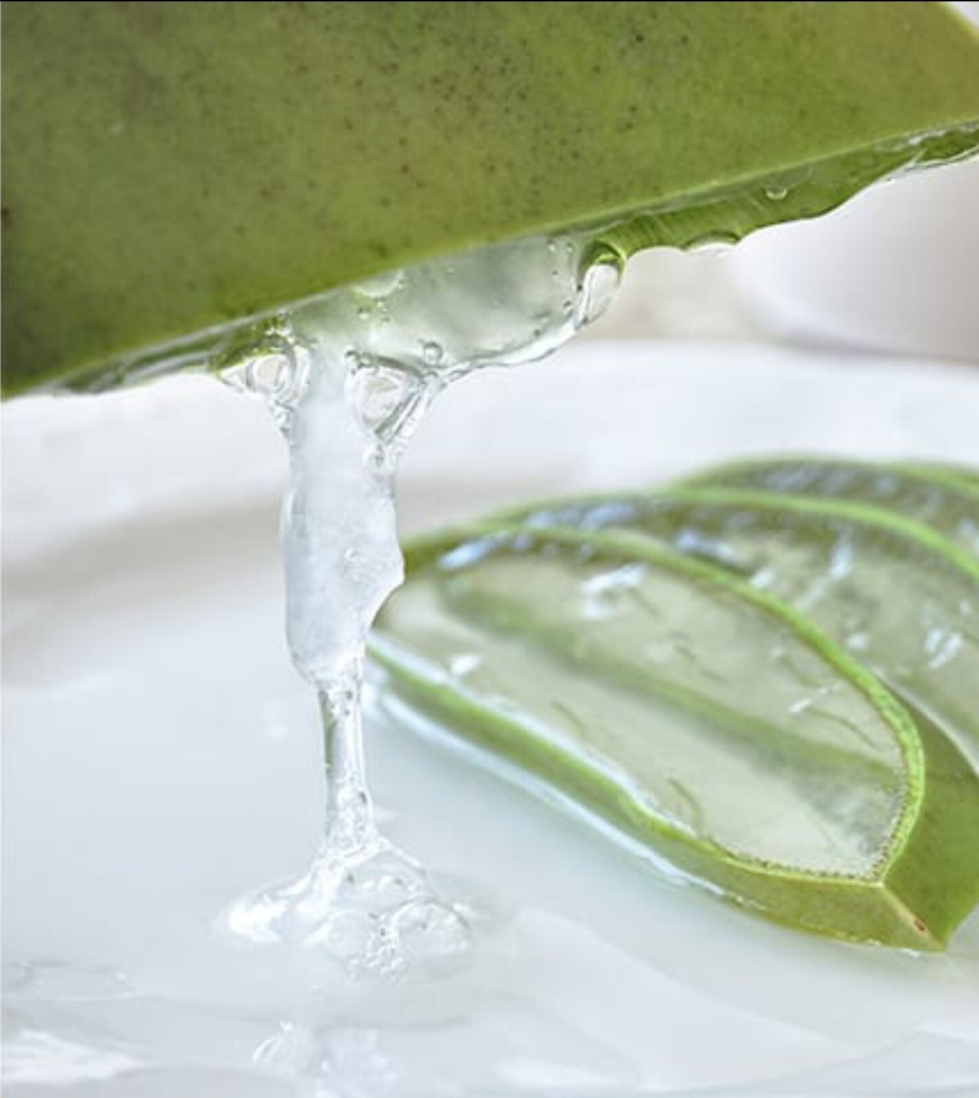BuildASoil Aloe Vera Powder “Flakes” 200x Certified Organic • Cloning/Veg • 15g