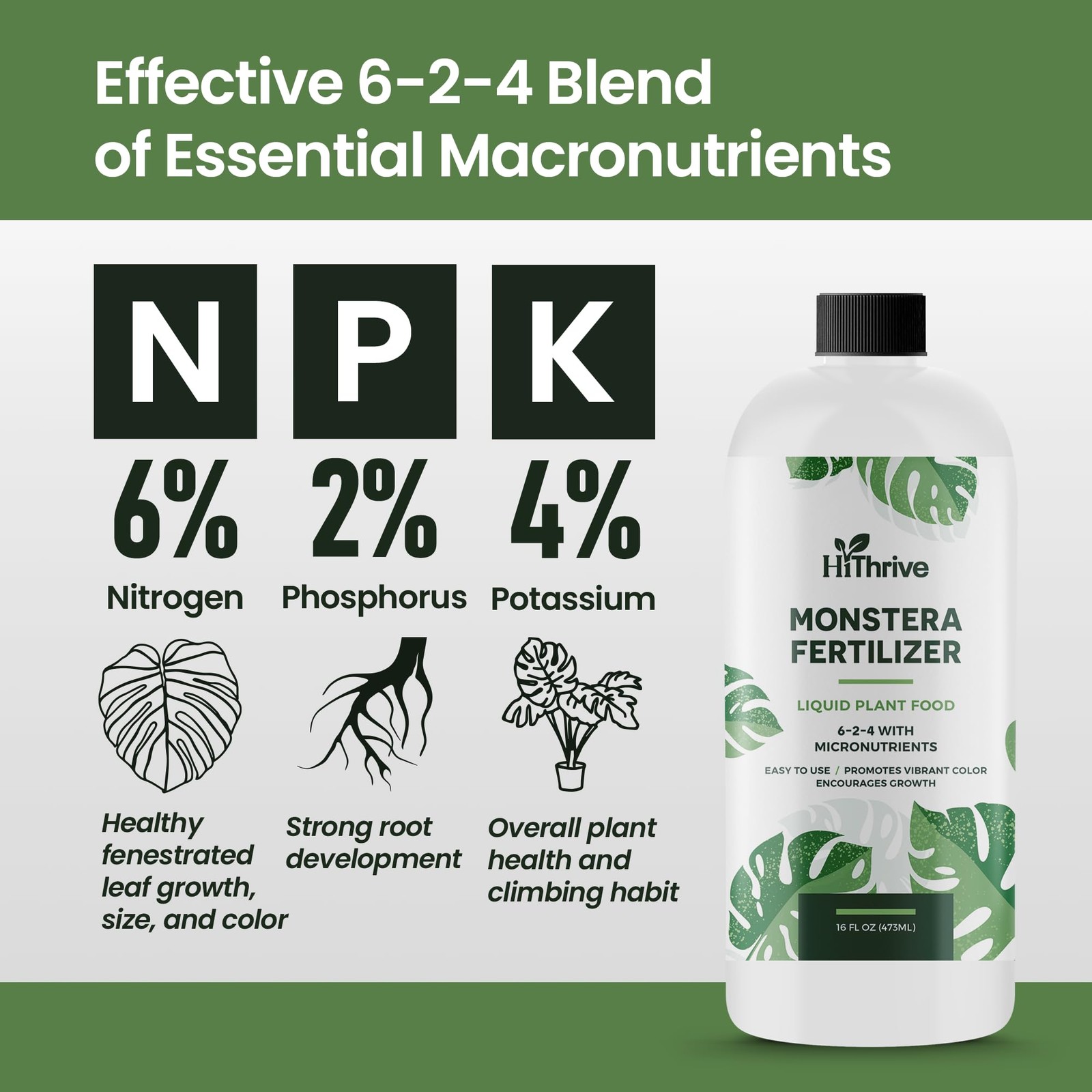 16oz Monstera Plant Food – Makes 96 Gallons of 16 oz (1 Pint)
