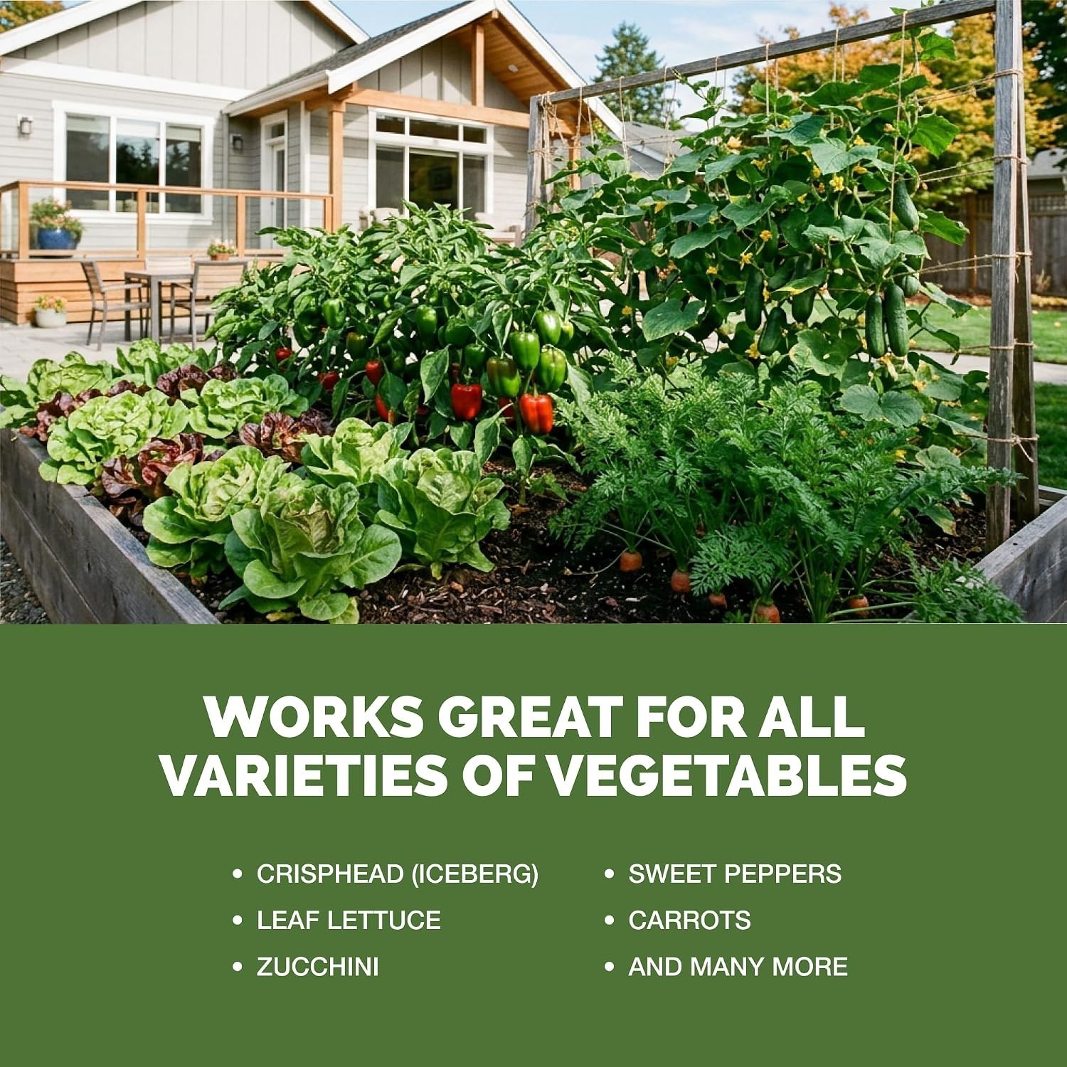 High Nitrogen Fertilizer for Vegetables – Liquid Plant Food for Vigorous Leaf…