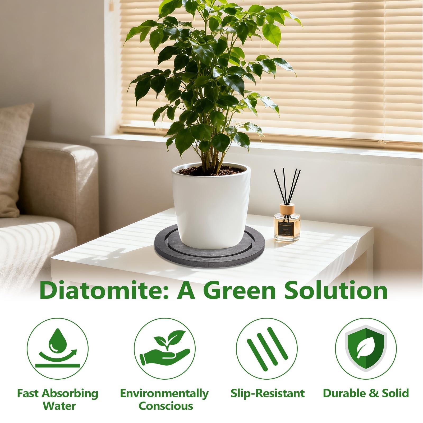 Plant Saucer for Indoors, 2 Pack 8 Inch, Instantly Dry Diatomaceous Earth Pla…