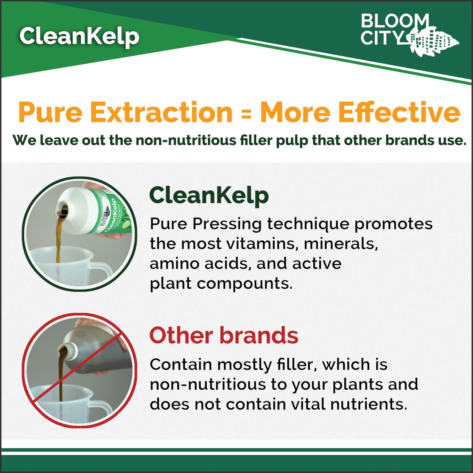 Bloom City Seaweed and Kelp Fertilizer – Liquid Seaweed Supplement for Strong…