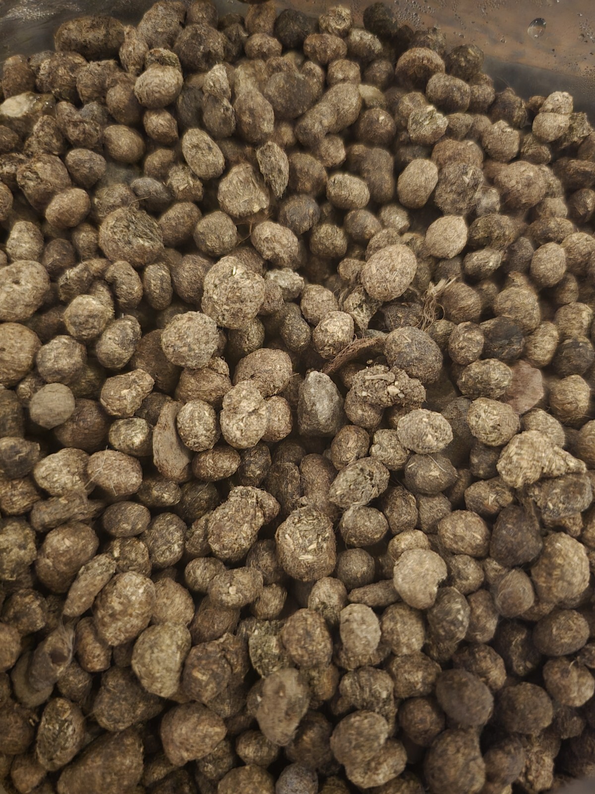 (6LB) Dried ORGANIC Rabbit Manure | Poop Pellets Garden Fertilizer