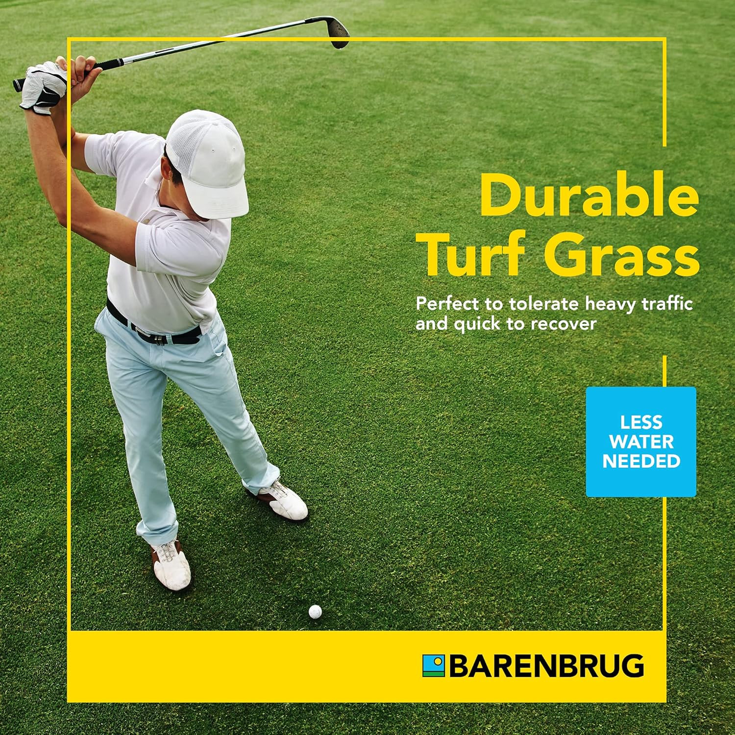 Barenbrug Turf Blue Pro Kentucky Bluegrass Lawn Seed with Yellow Jacket Seed Coa