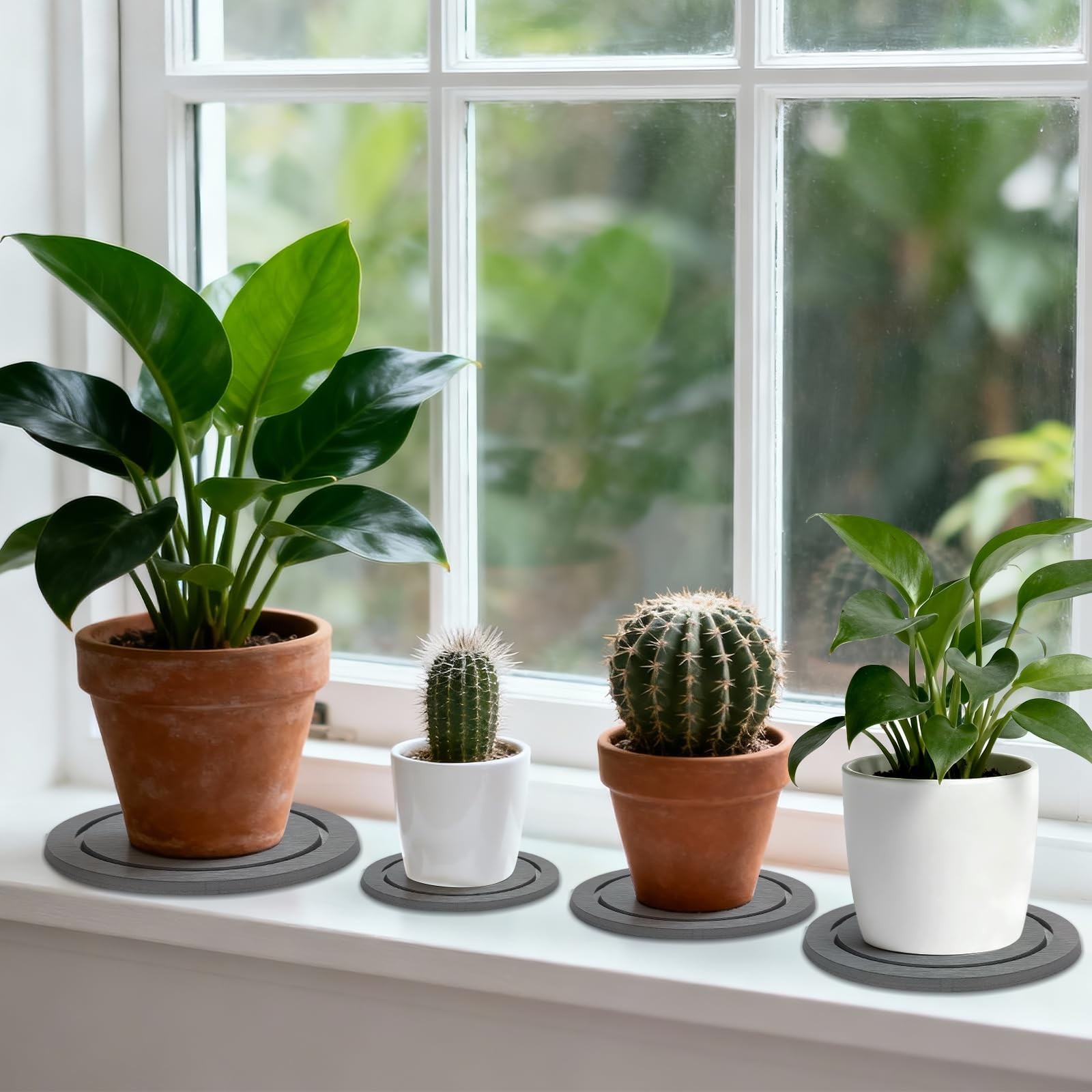 Plant Saucer for Indoors, 2 Pack 8 Inch, Instantly Dry Diatomaceous Earth Pla…