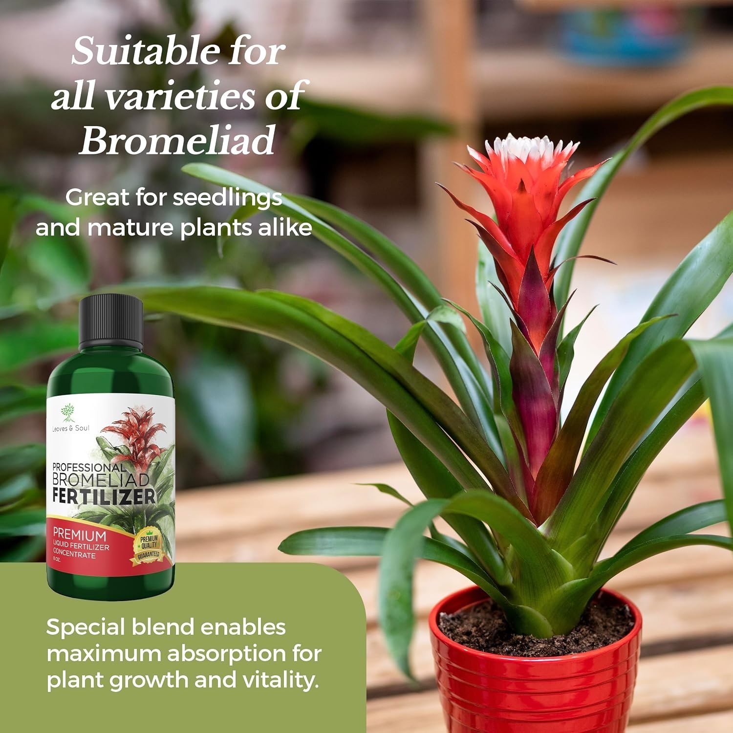 Bromeliad Fertilizer Liquid 3-1-2 Concentrate 8 oz
