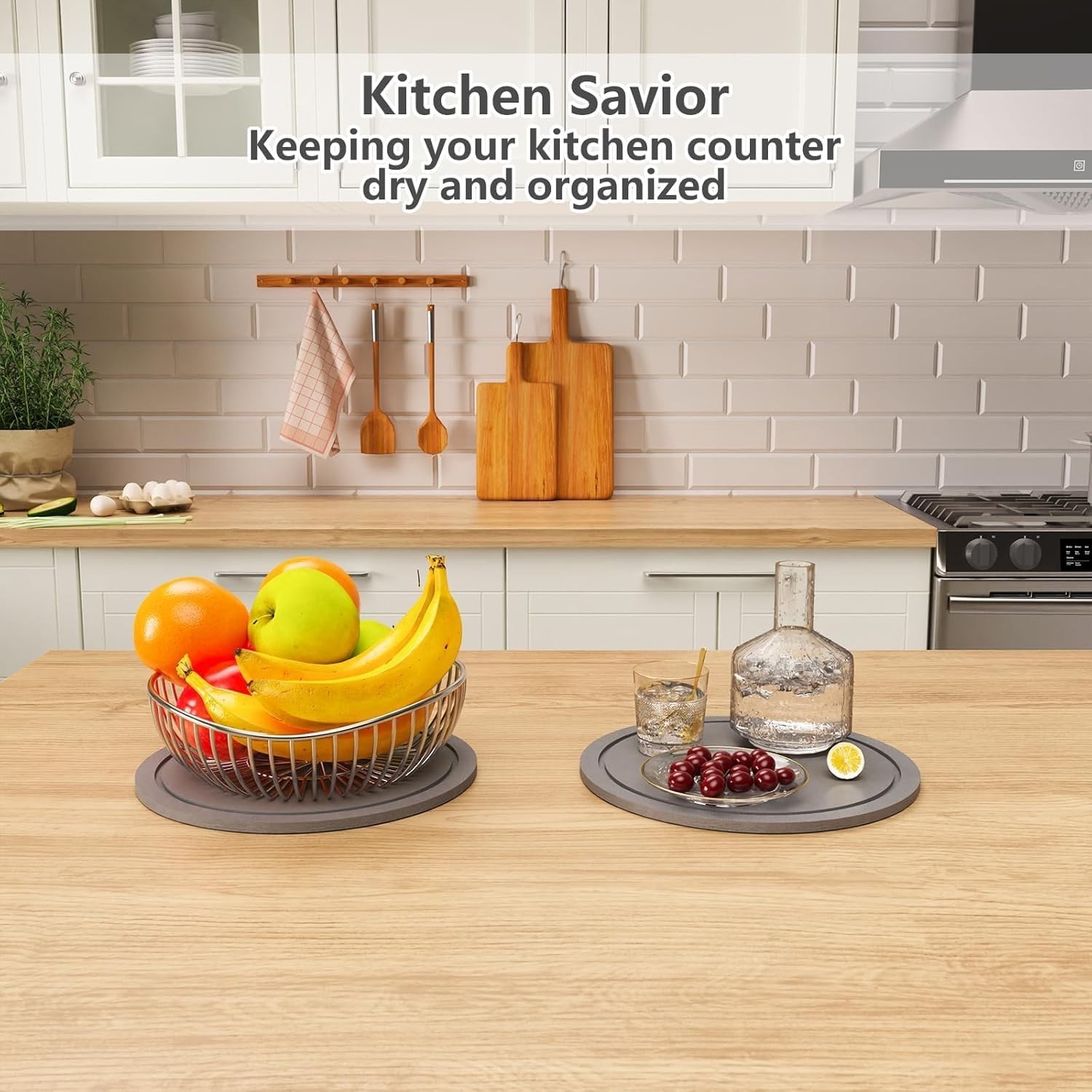 Plant Saucer for Indoors, 2 Pack 8 Inch, Instantly Dry Diatomaceous Earth Pla…