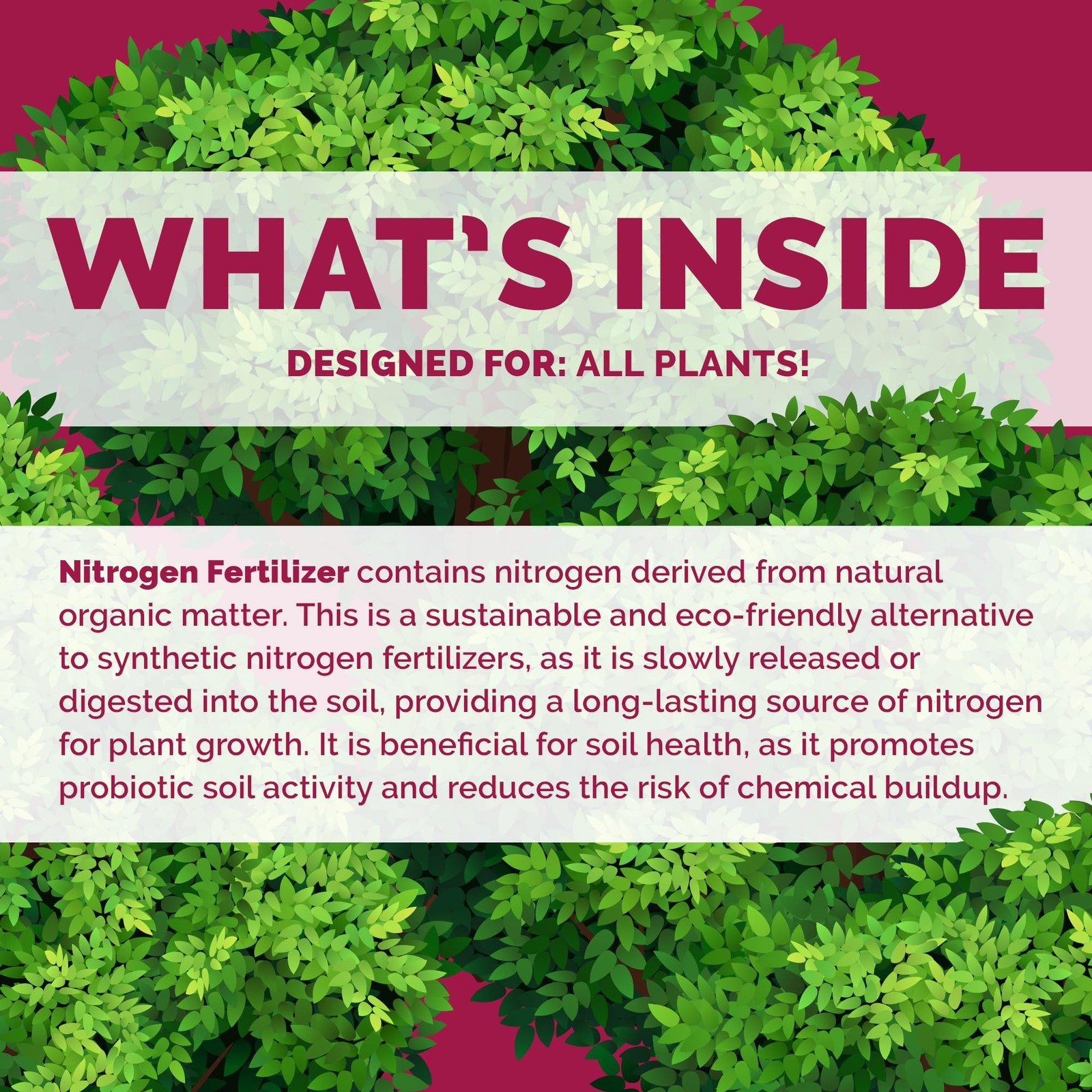 Bloom City’s Organic Nitrogen – Liquid Fertilizer for Lawns – Nitro… Fast Ship
