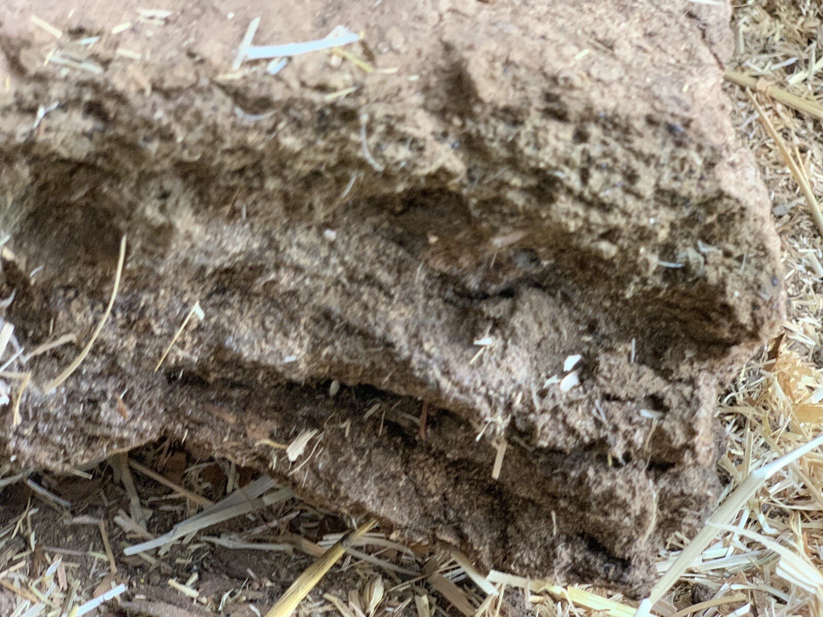 Goat Fertilizer Natural Organic Dry Aged Composted Fertilizer