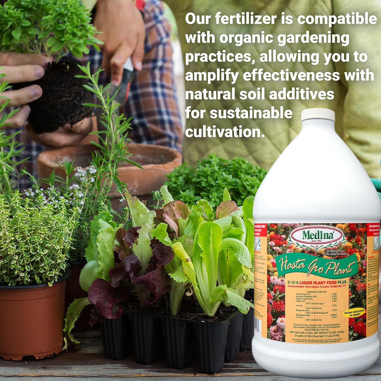 HastaGro Plant Food 6-12-6 Concentrate 128 fl oz by Medina