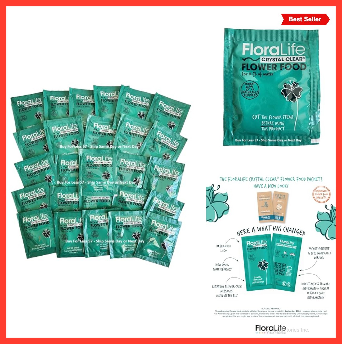 Cut Flower Preservative Food 5gm Packet Makes 1 Pint Solution for Bouquets