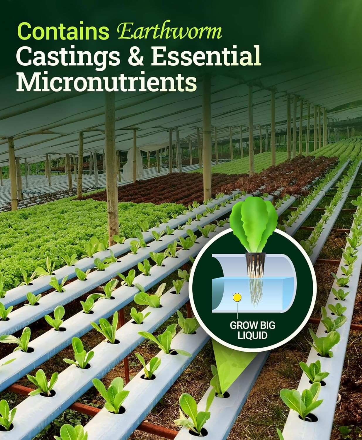 Grow Big Hydroponic Plant Food – 3-2-6 Liquid Plant Fertilizer for Lush Vegetati