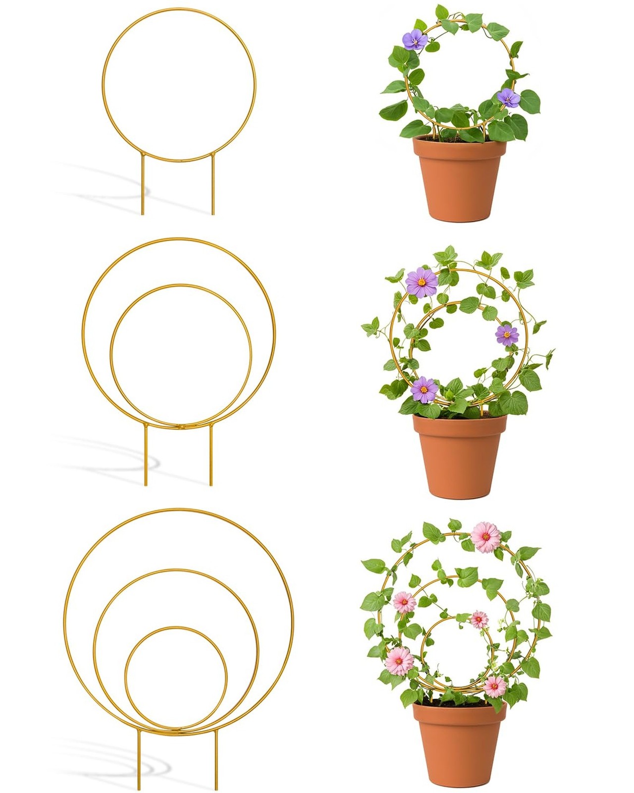 3 Pack Premium Round Plant Trellis Indoor, Small Metal Plant Support Stake fo…