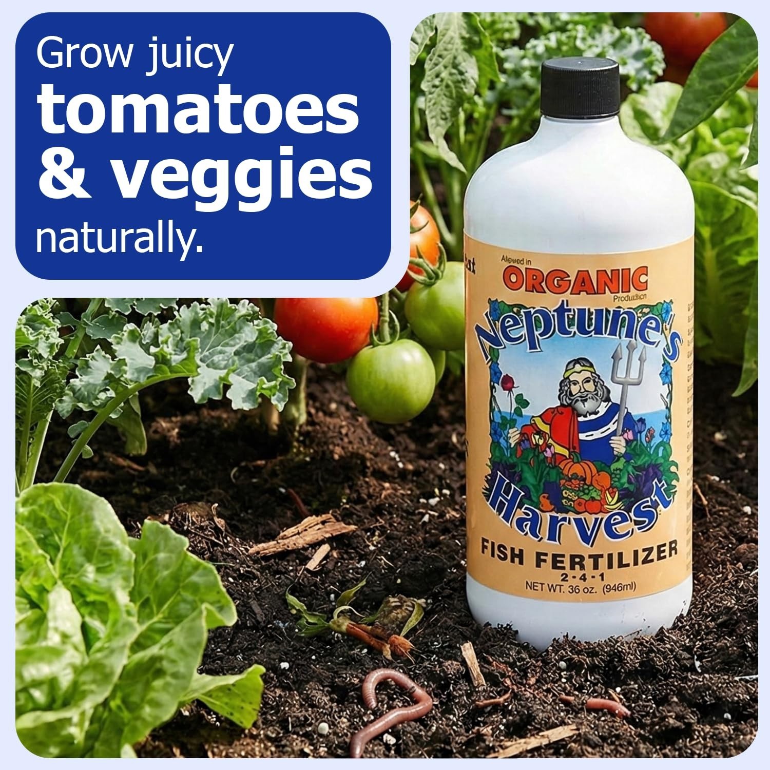 Organic Fish Fertilizer 2-4-1 – Liquid Plant Food for Vegetables, Flowers, Trees