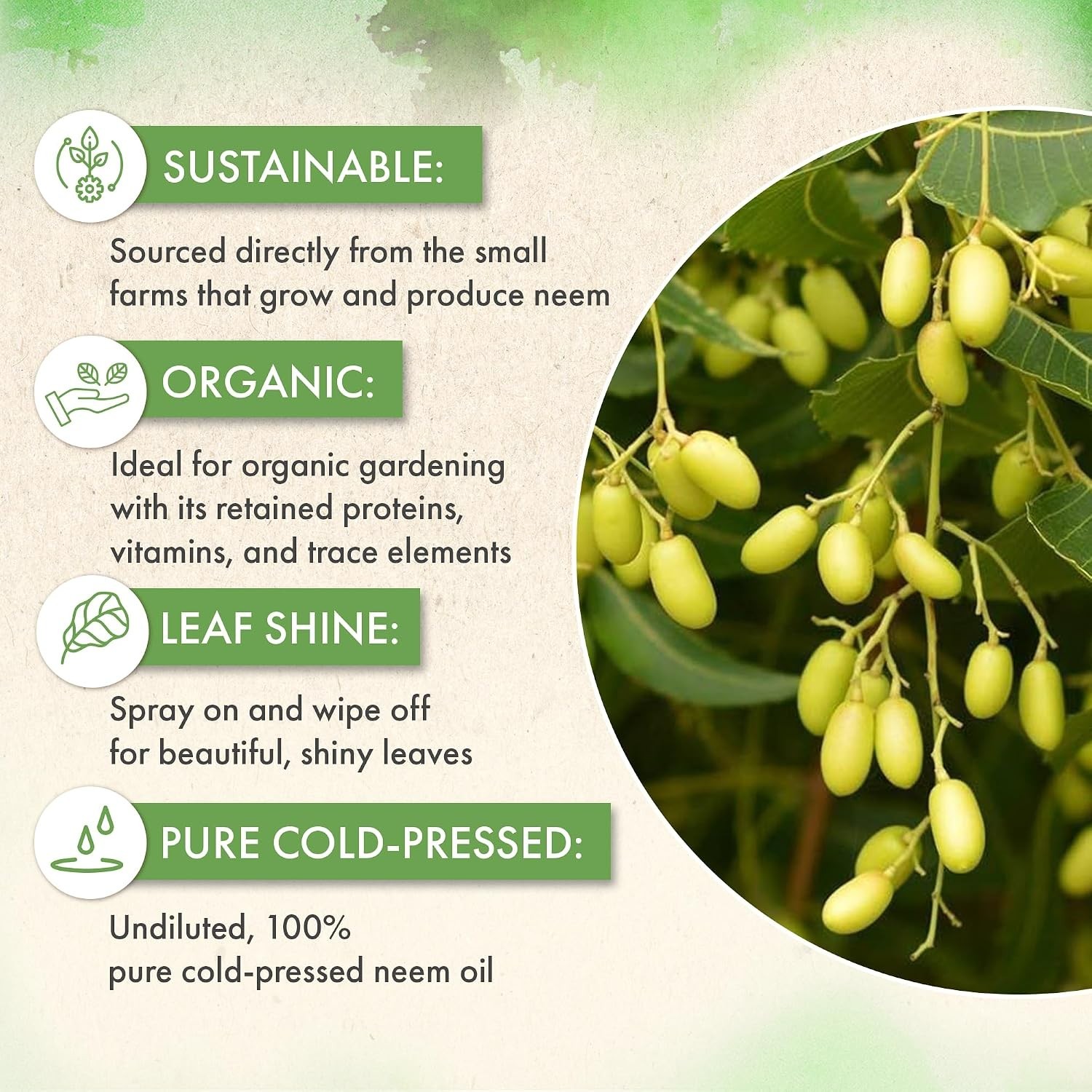 Organic Neem Oil Concentrate – 8oz Leaf Care & Shine for Indoor/Outdoor Plants