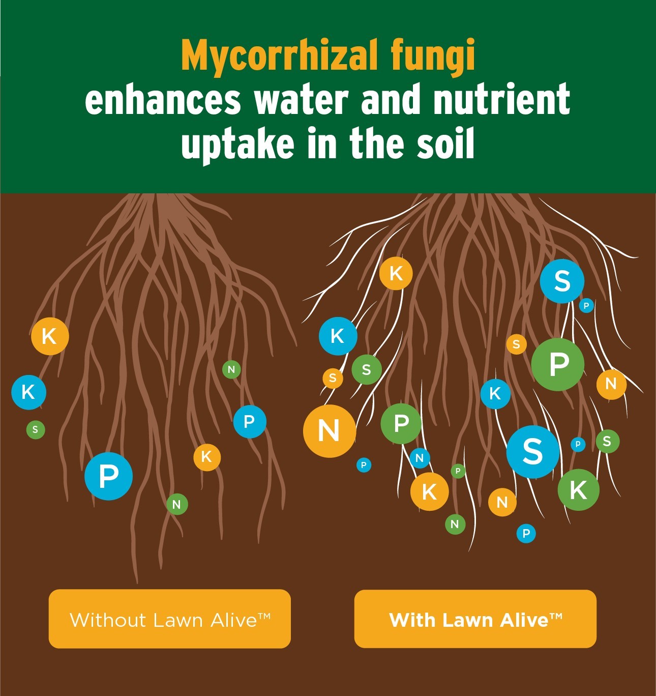 The Andersons Lawn Alive™ 15-0-0 Liquid Lawn Fertilizer & Soil Amendment