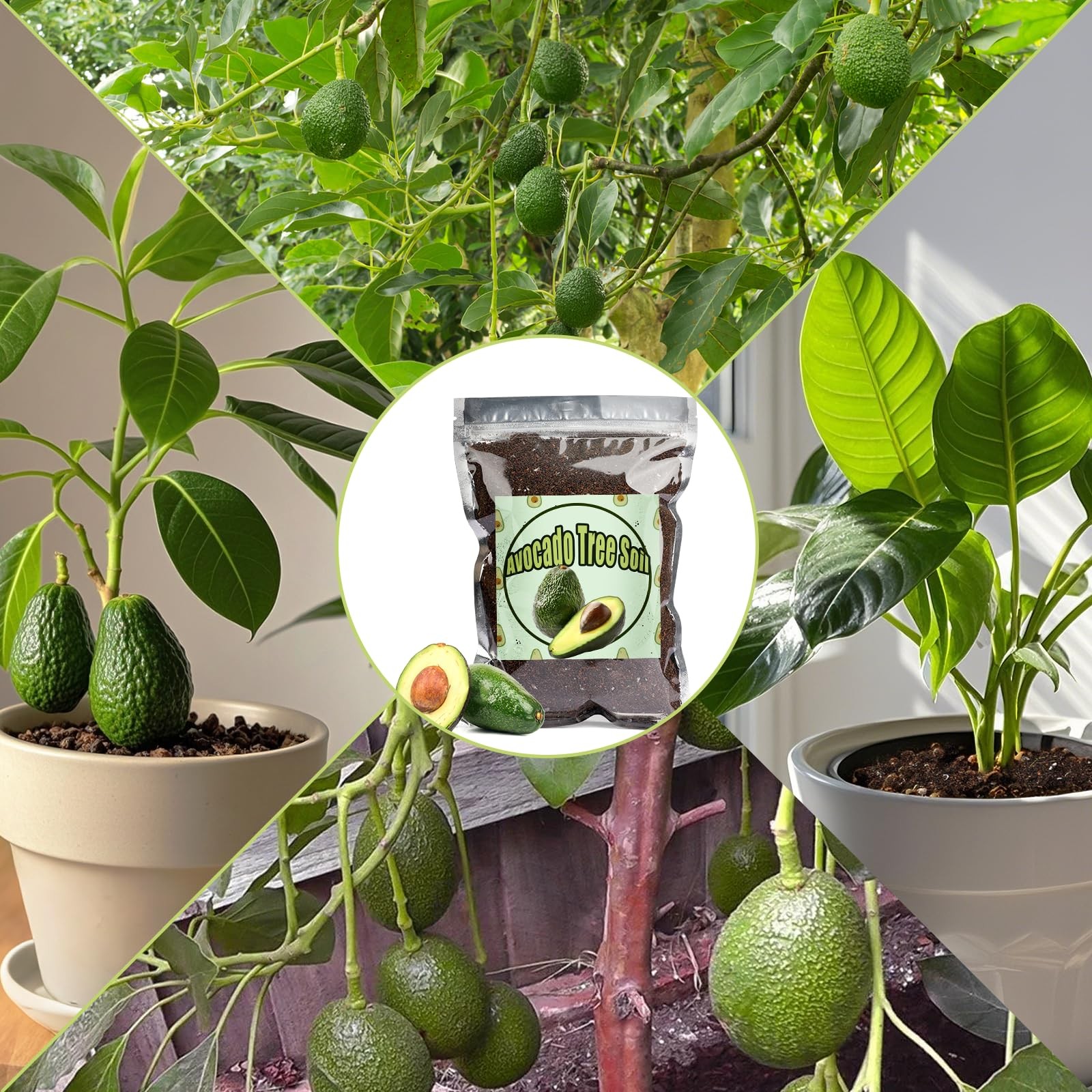 Organic Avocado Tree Potting Soil Mix 1qt, Enhance Growth and black
