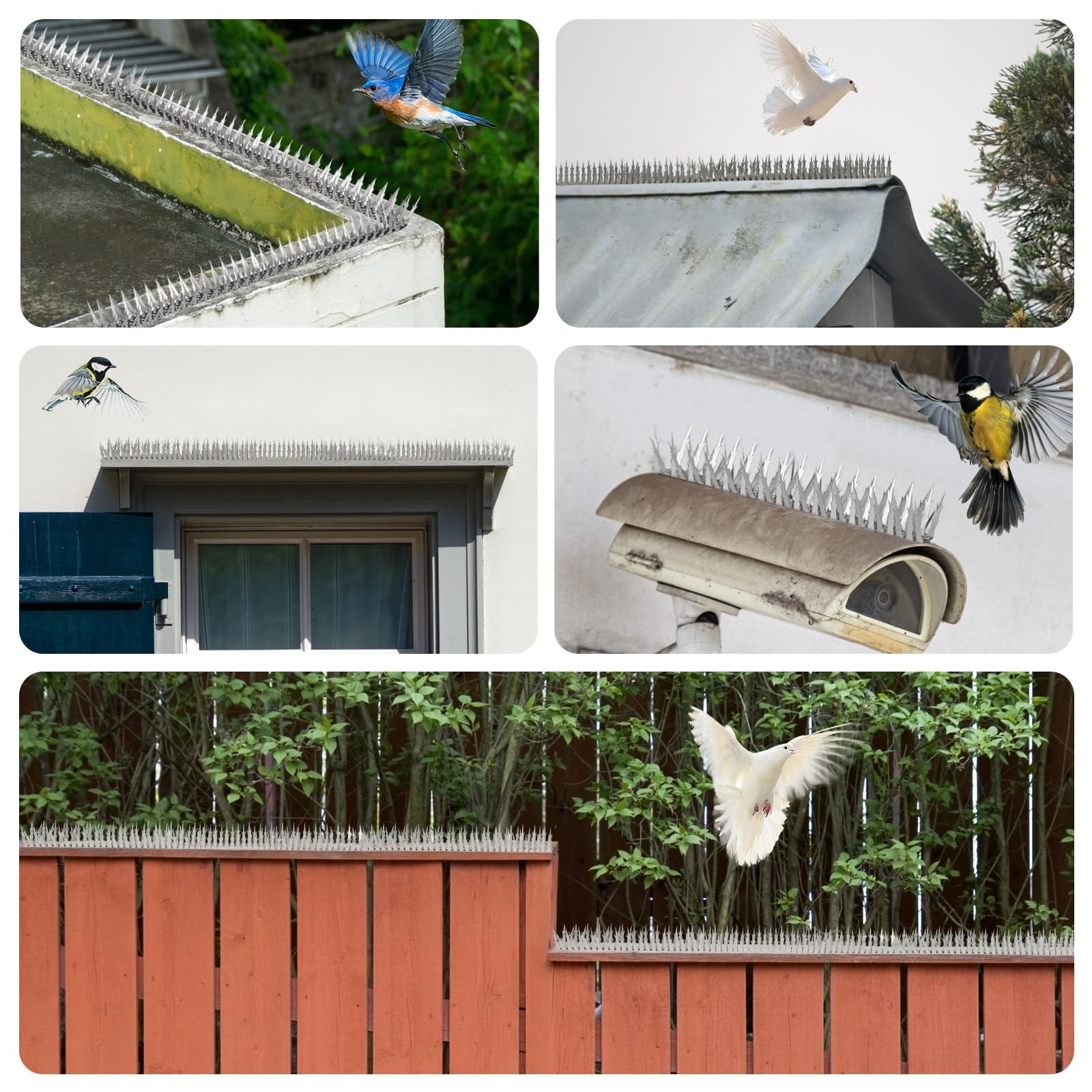 Bird Spikes, 5 FT Stainless Steel Bird Deterrent Spikes, Pigeon Spikes for Ou…