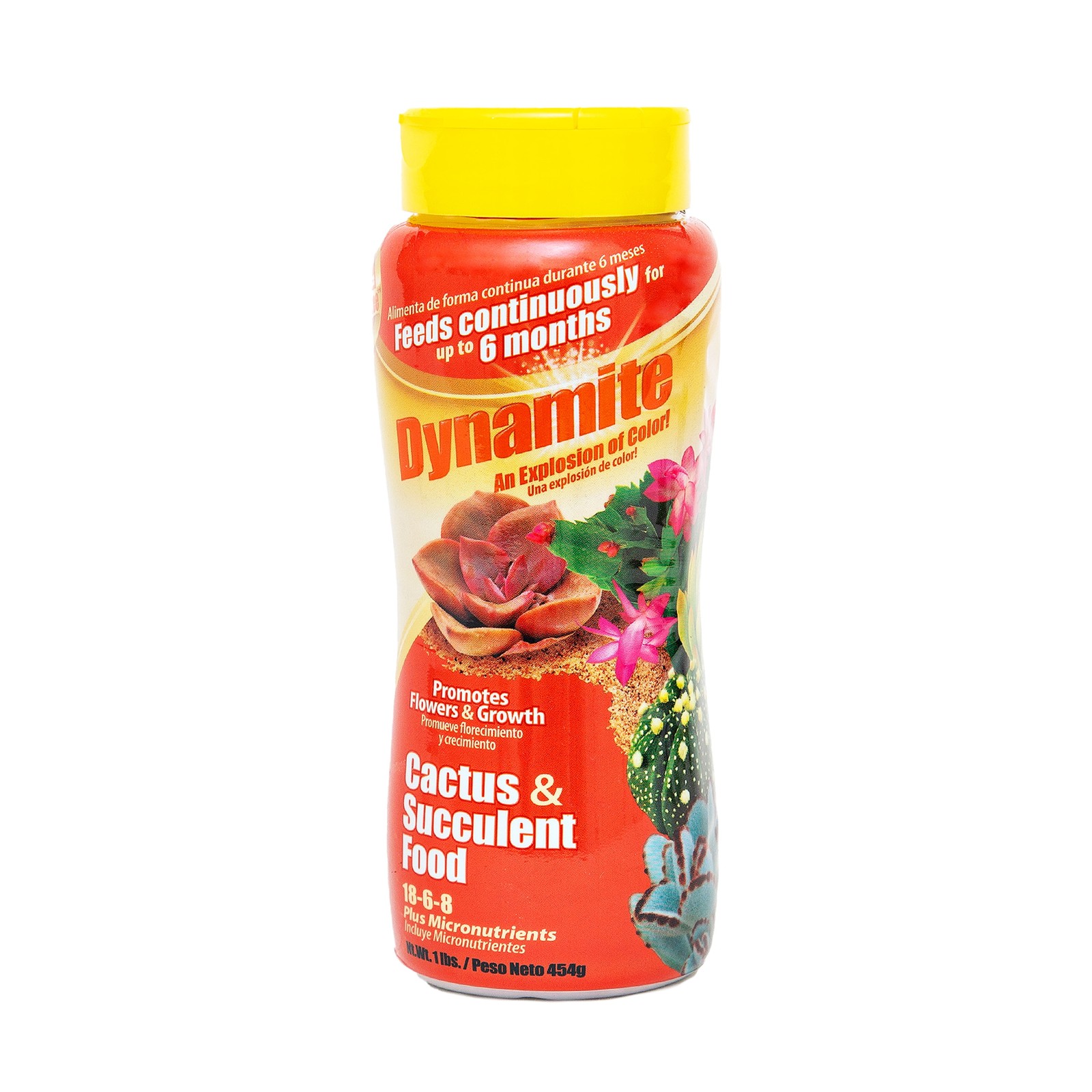 Sun Bulb Cactus & Succulent Plant Food, 18-6-8 Fertilizer, 1 lb.