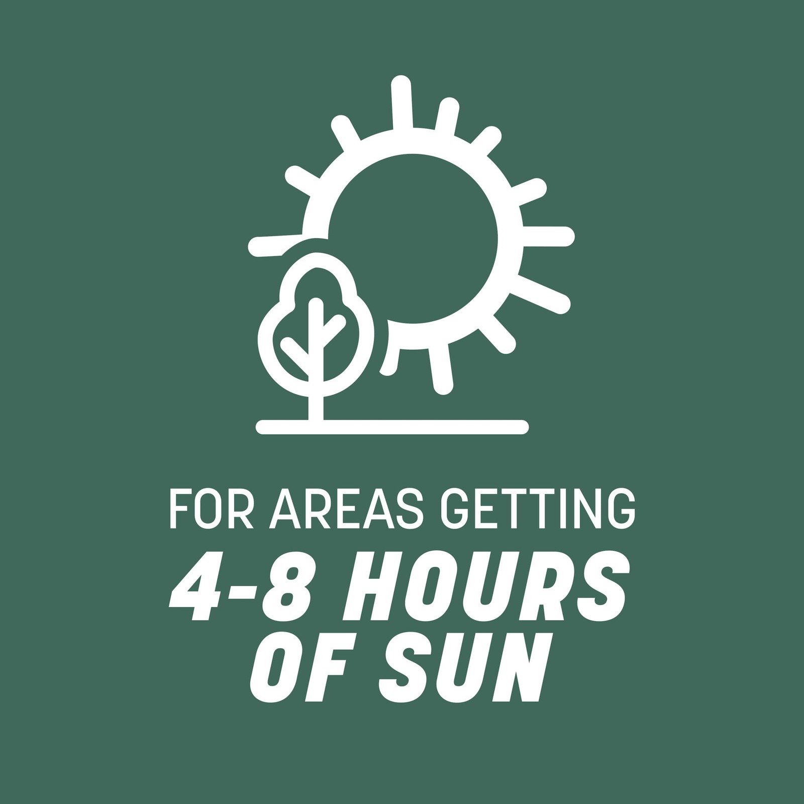 Kentucky 31 Tall Fescue Grass Seed Sun to Partial Shade 20 lb.