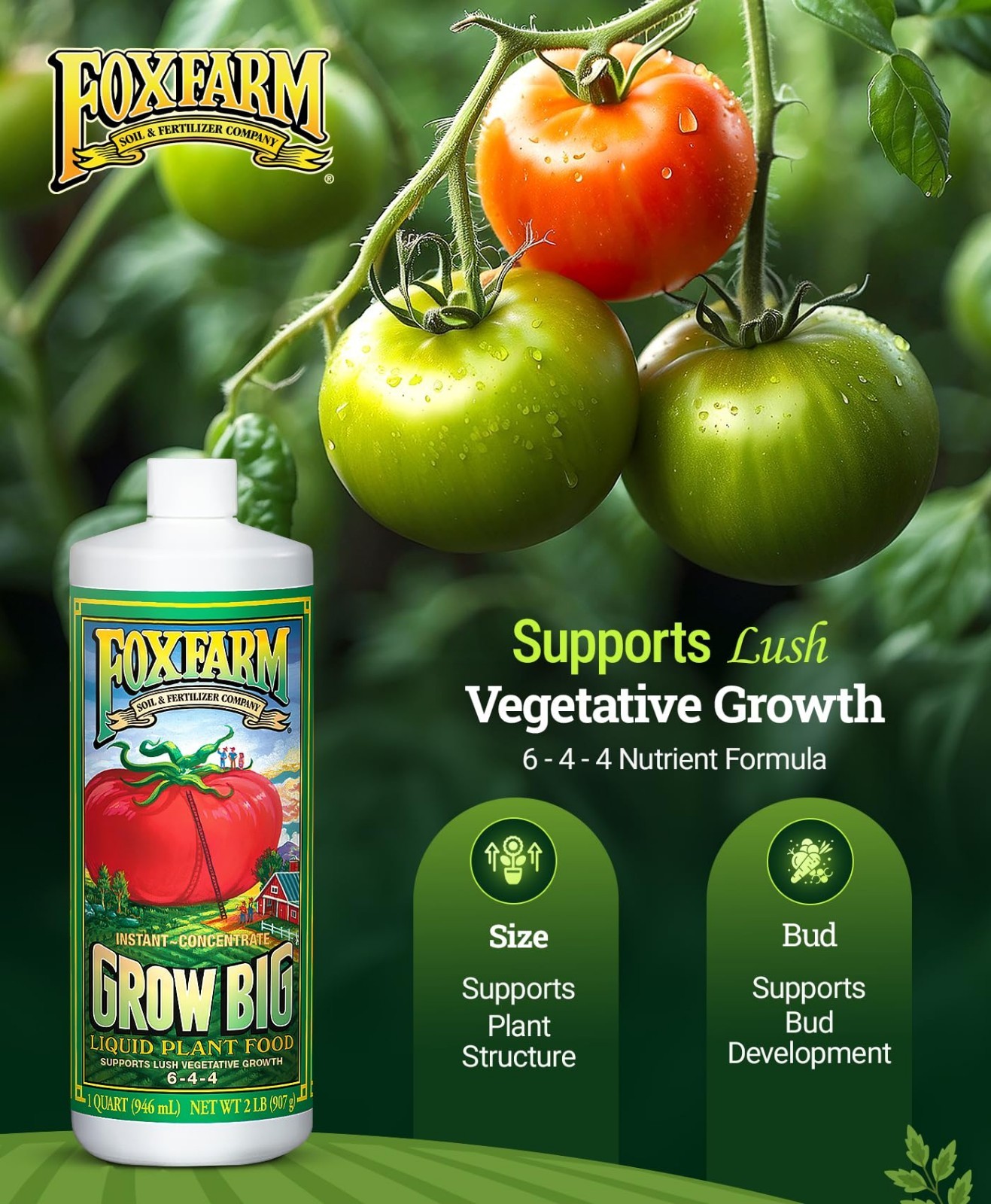 Liquid Plant Fertilizer 6-4-4 for House Plants – Fast Nutrient Uptake, Quart Siz