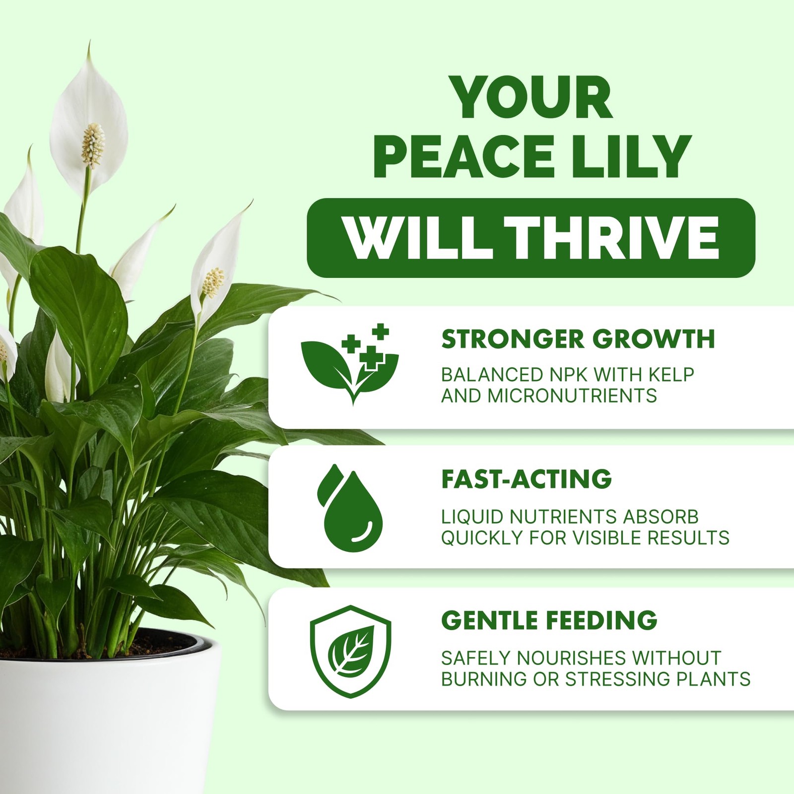 Peace Lily Fertilizer – Liquid Plant Food for More Blooms, 8 oz (1/2 Pint)
