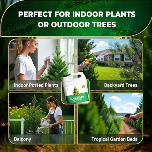 Leaves and Soul Evergreen Tree Fertilizer 32 oz, Professional Liquid Evergree…