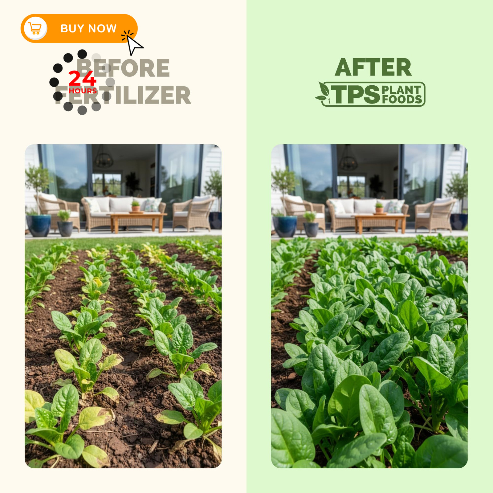 10-10-10 Fertilizer for Vegetables, Complete Liquid Plant 8 oz (1/2 Pint)