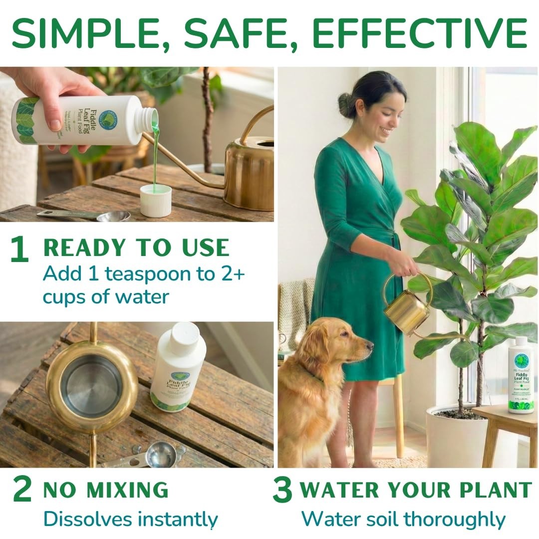Balanced NPK Liquid Fertilizer for Fiddle Leaf Fig & Ficus – 8 oz, Stronger Root