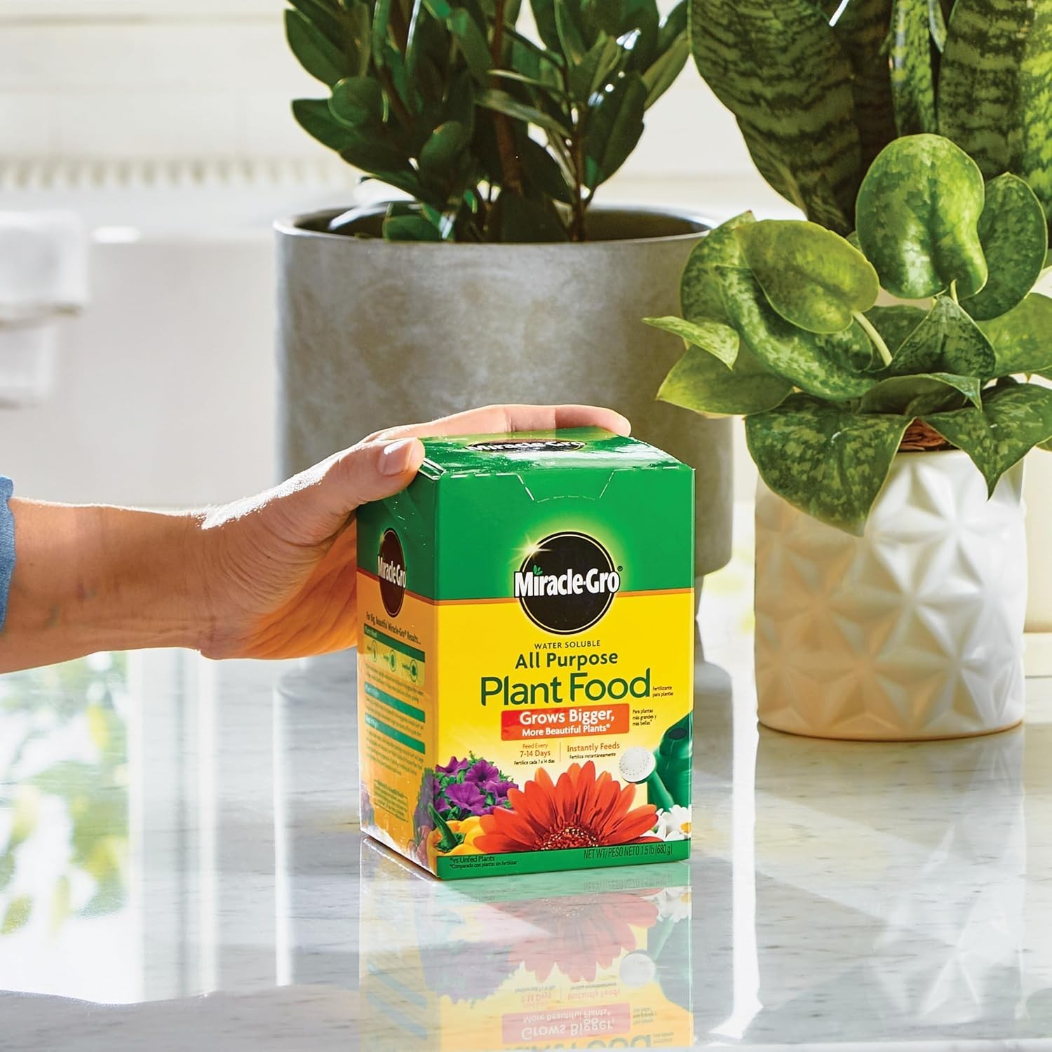 Miracle-Gro Water Soluble Fertilizer, 1.5 lbs – Ideal for All Plants & Gardens