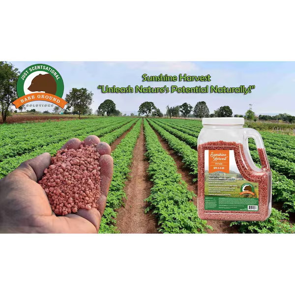 Just Scentsational Sunshine Harvest Potash Fertilizer NPK 0-0-60 12 Lbs jug