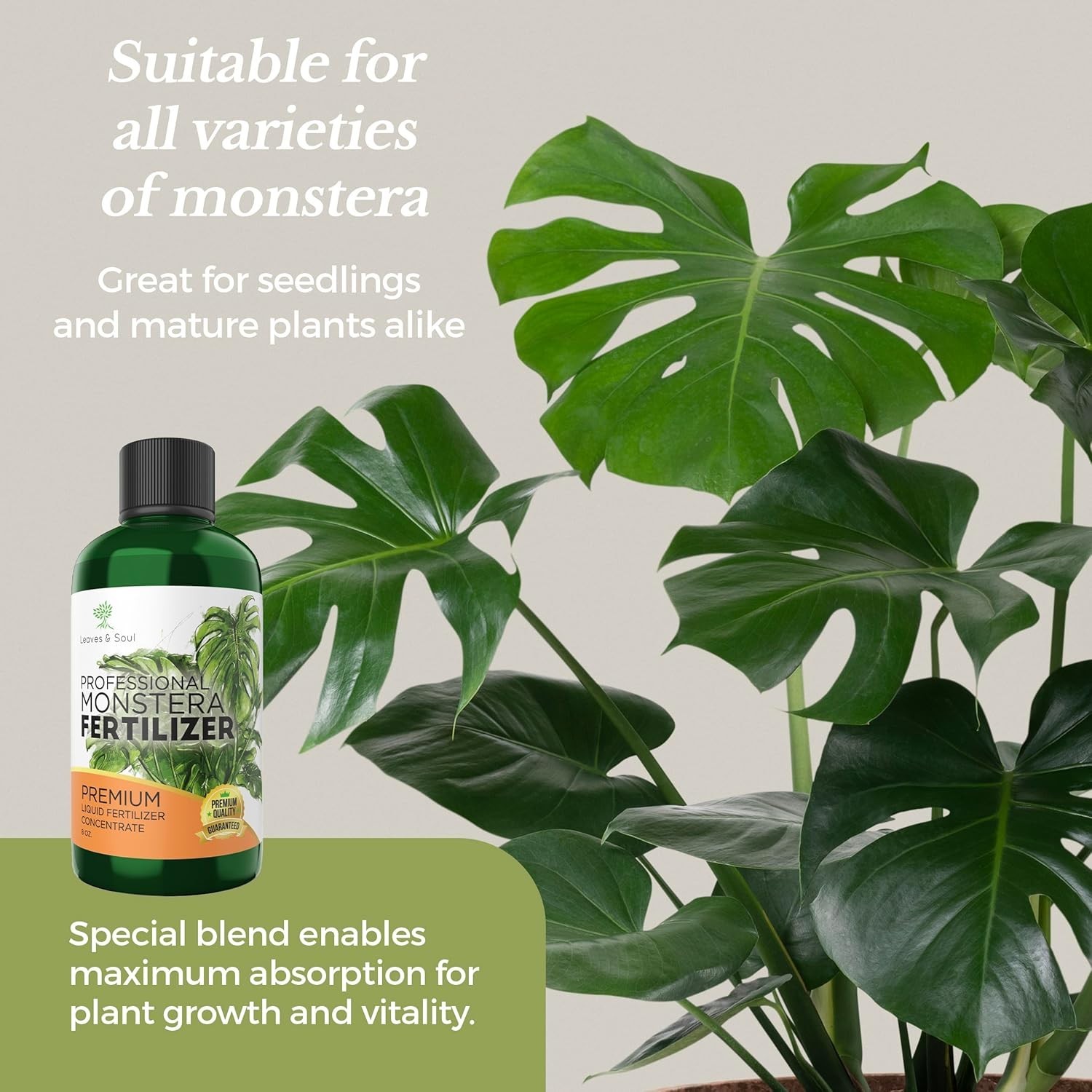 Professional Monstera Plant Fertilizer | 3-1-2 Concentrate for Plants and Flo…