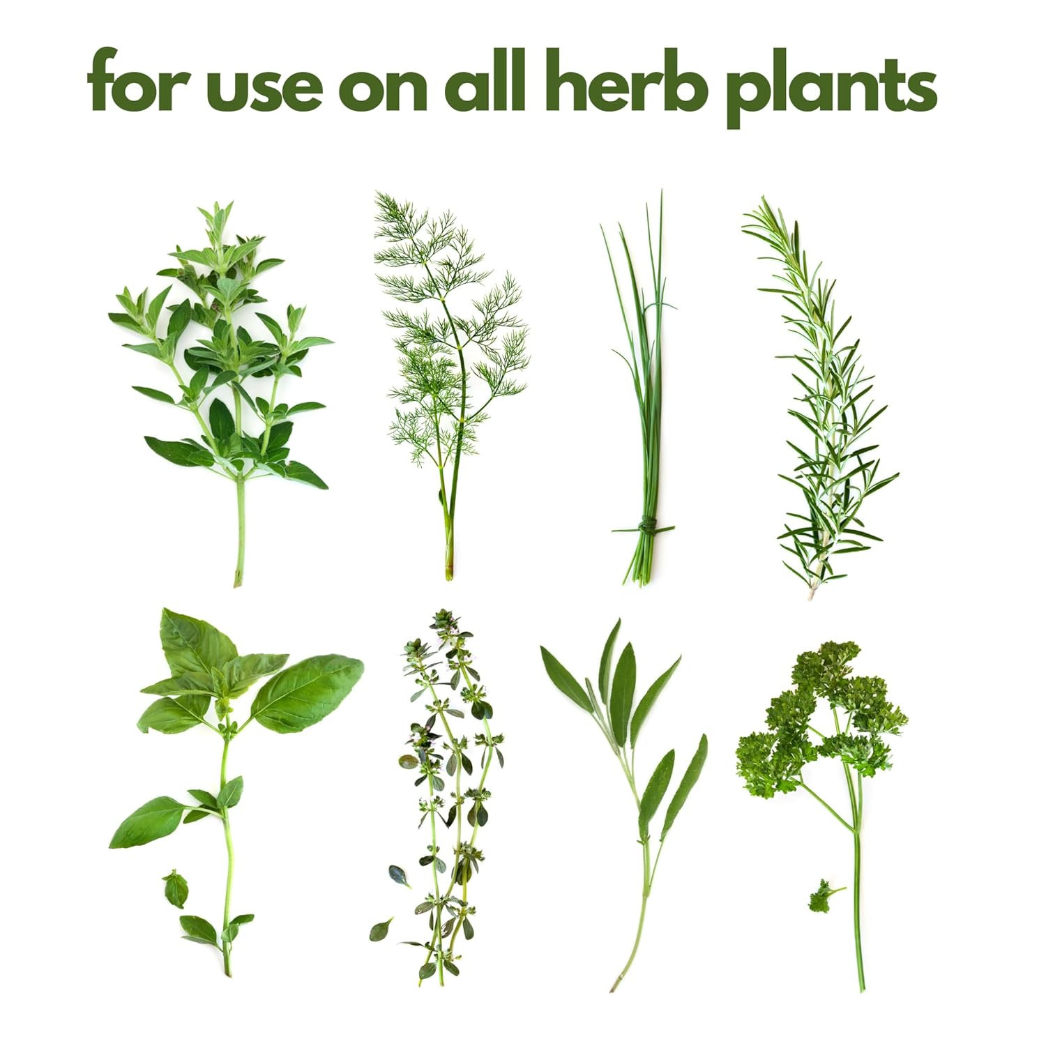Fertilizer for Herbs Happy Herb Organic Fertilizer by Happy Nutrients – Plant Fo
