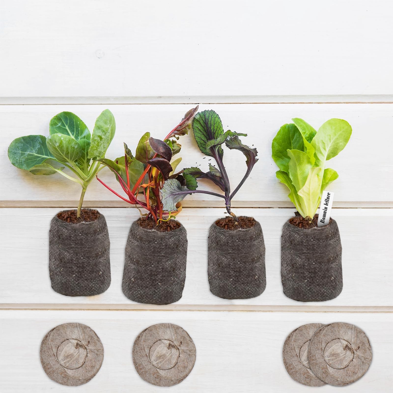 100 Pcs 30mm Peat Pellets Seed Starter Pods for Vegetable Seedlings & Plants