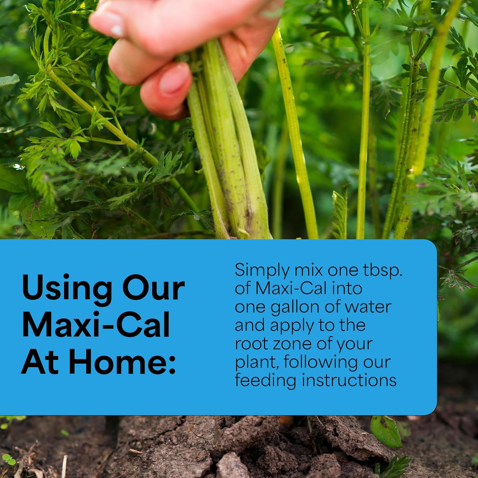 Garden Fertilizers