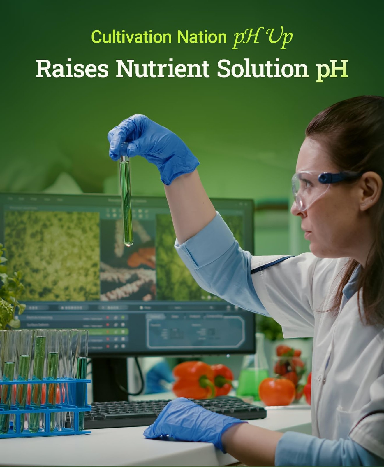 pH UP Solution for Plants Adjust Nutrient Levels for Soil & Hydroponics 1