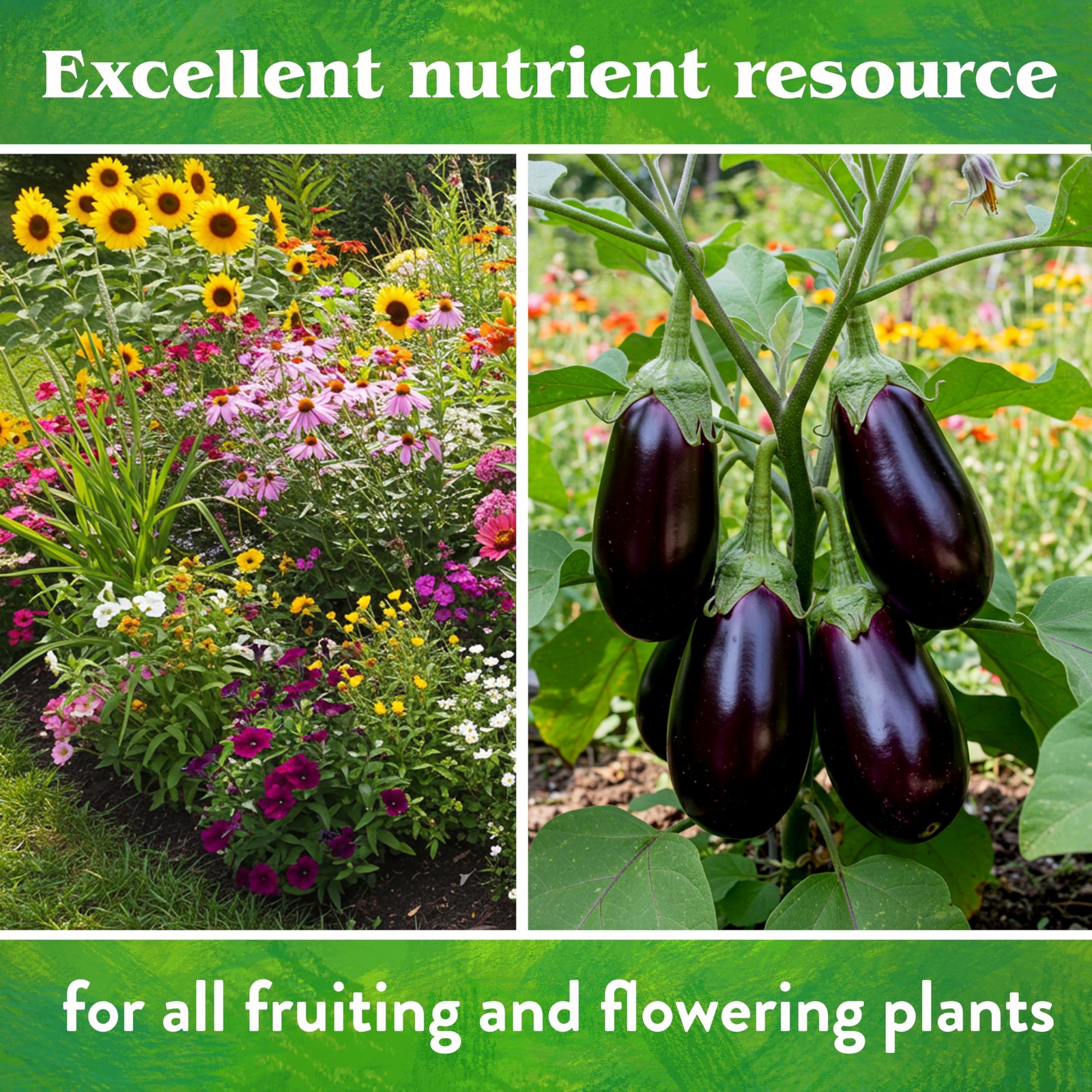 Organic Rock Phosphate Fertilizer Calcium Phosphorus 030 5 lb Garden Plant Foo