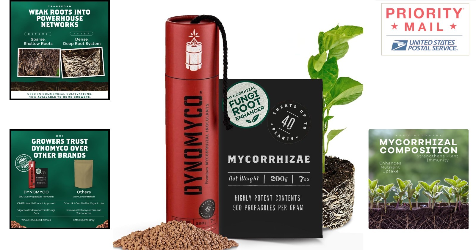 Mycorrhizal Fungi Granules 200g Biofertilizer for Plant Growth 900 Propagules/g