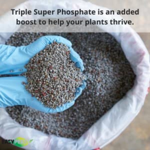 High-Performance Triple Super Phosphate 0-46-0 Fertilizer | 5 lbs for All Plants