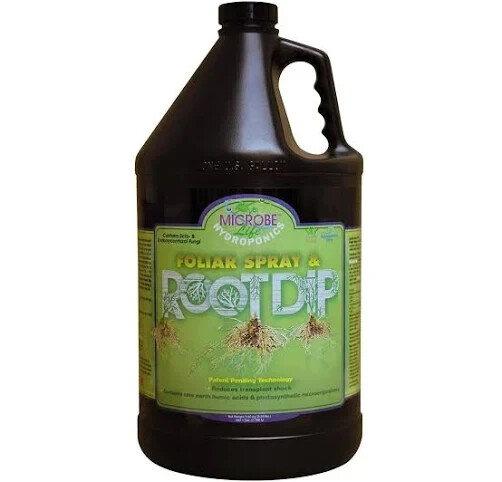 microlife root dip gallon
