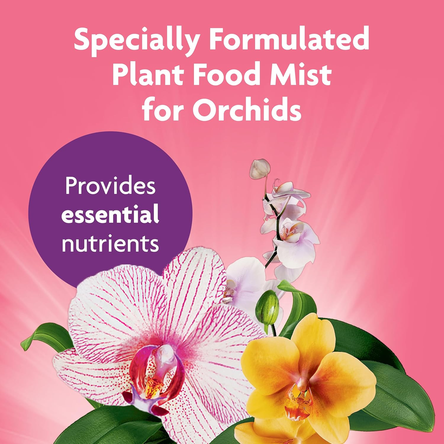 Miracle-Gro Ready-To-Use Orchid Plant Food Mist – Fertilizer Mist for Indoor Blo