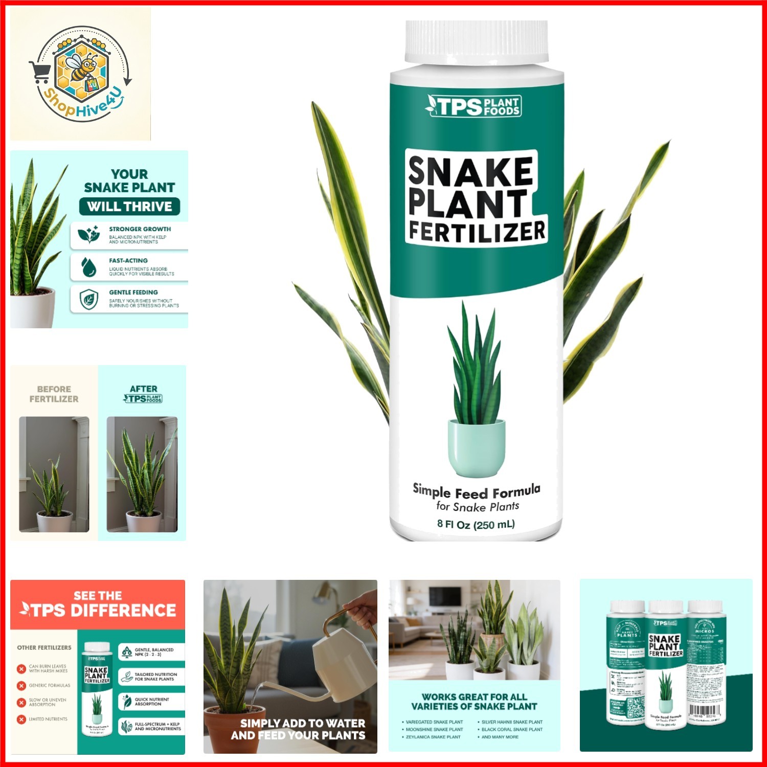 Snake Plant Fertilizer – Liquid Plant Food for Upright Growth, Strong Roots &…