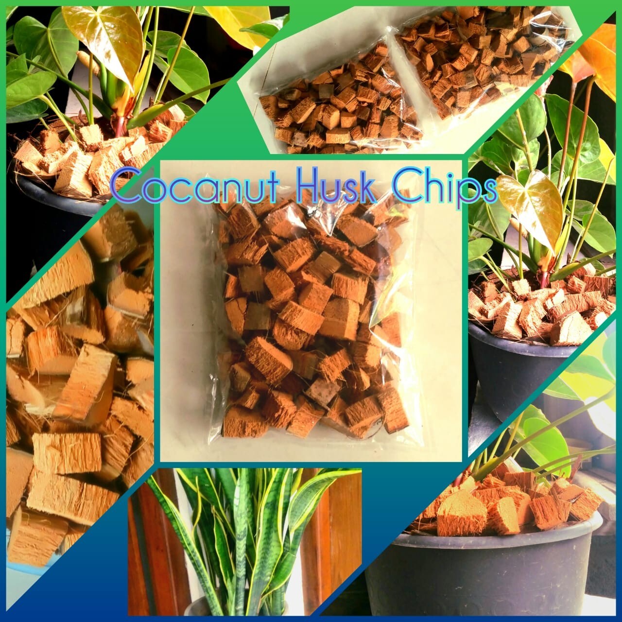 Cocanut husk chips fiber Orchids Anthodium Growing for garden Natural Products