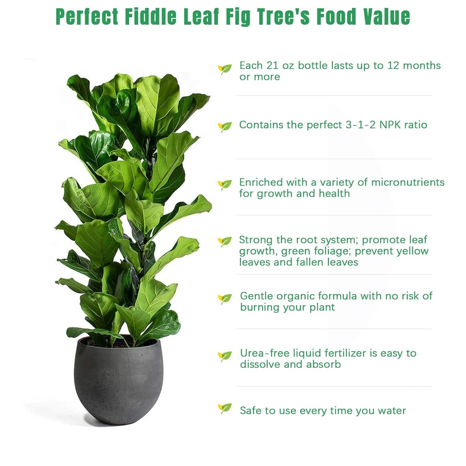 Fiddle Leaf Fig Care: Nutrition Booster with 7 Micronutrients, 21 oz Size