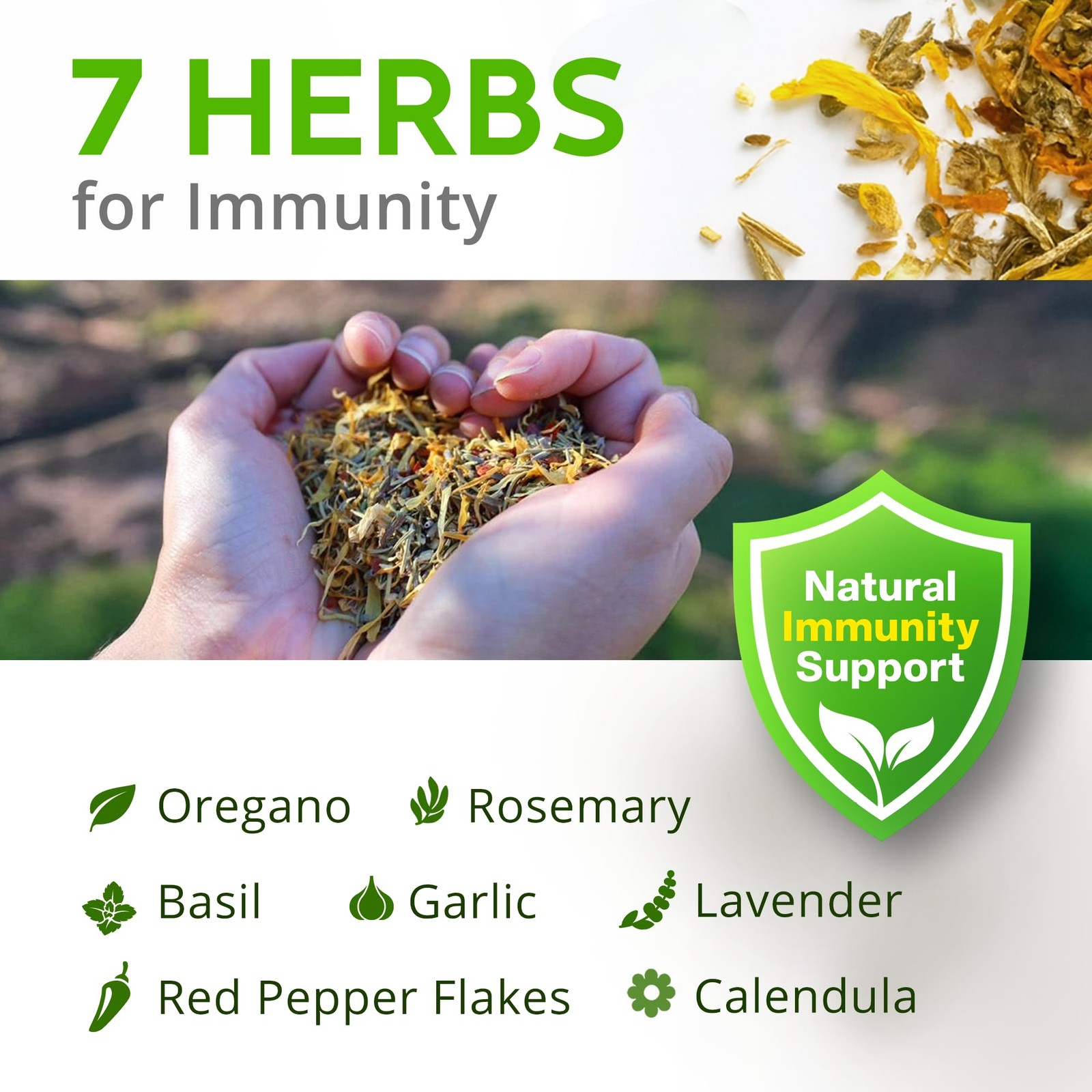 Herb Supplement for Backyard Chickens – Natural Chicken Treats, Poultry Feed …