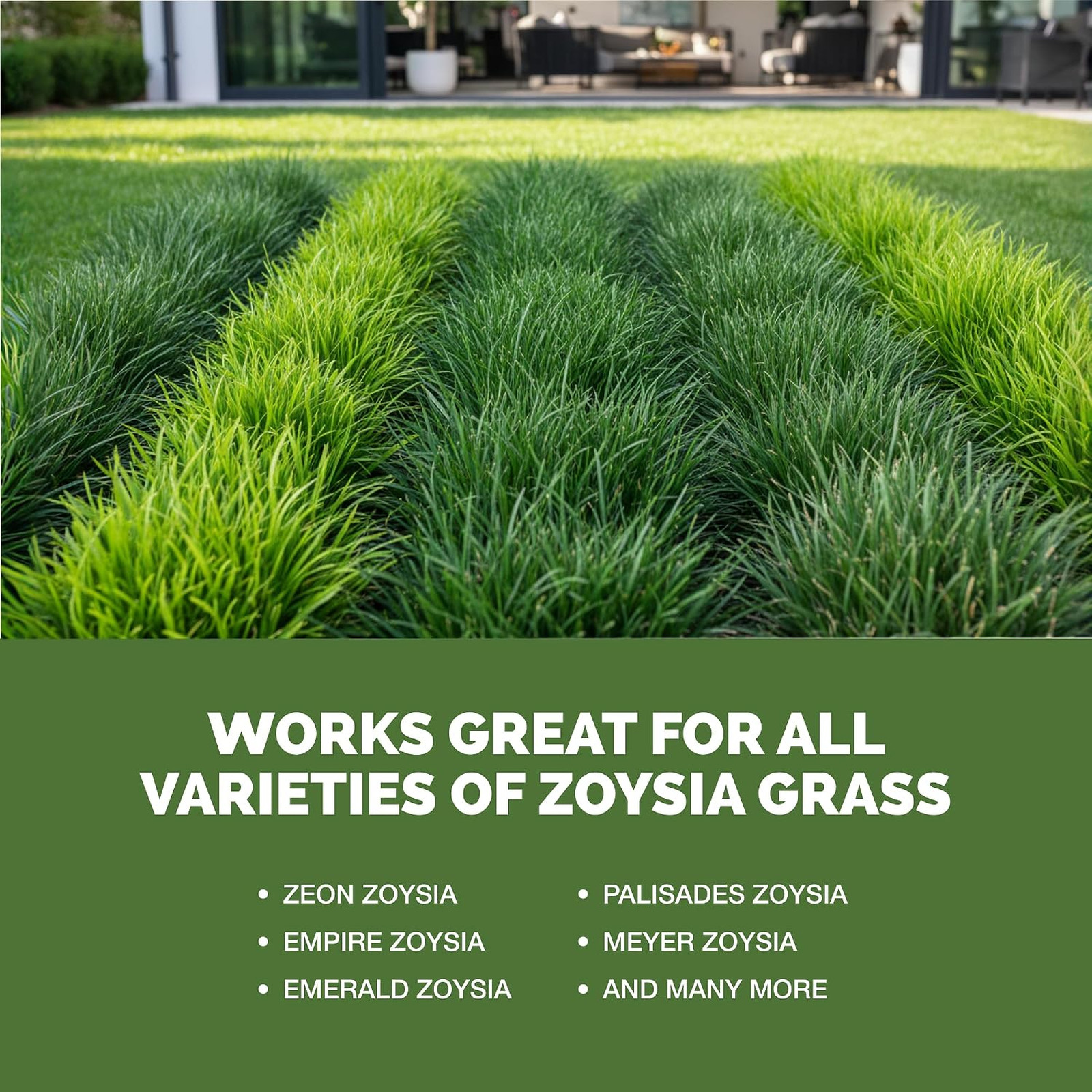 Zoysia Grass Fertilizer Liquid Lawn Food 32 oz Supports Green Turf Root