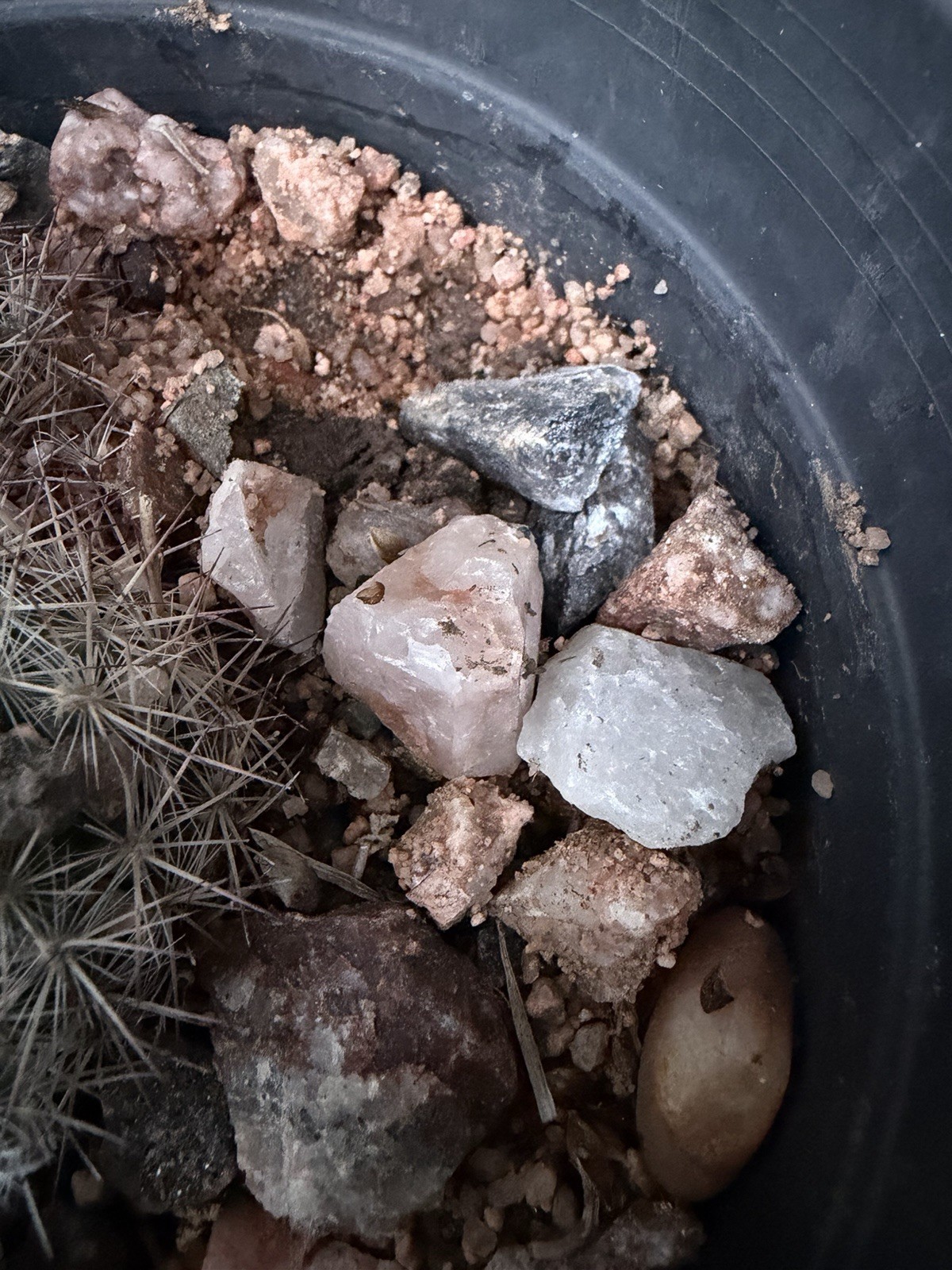 Crushed Rock For Cacti Mountain Cactus Raw Host Rock For Native Spps Blend 3LB