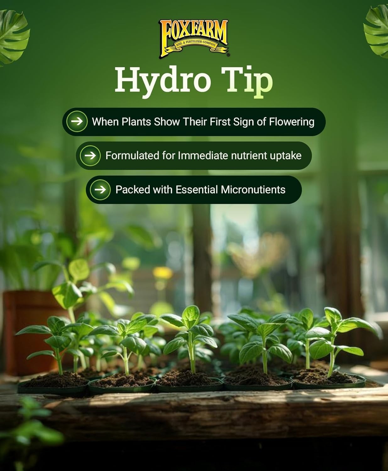Hydroponic Plant Fertilizer 16oz Liquid 3-2-6 Earthworm Castings Micronutrients