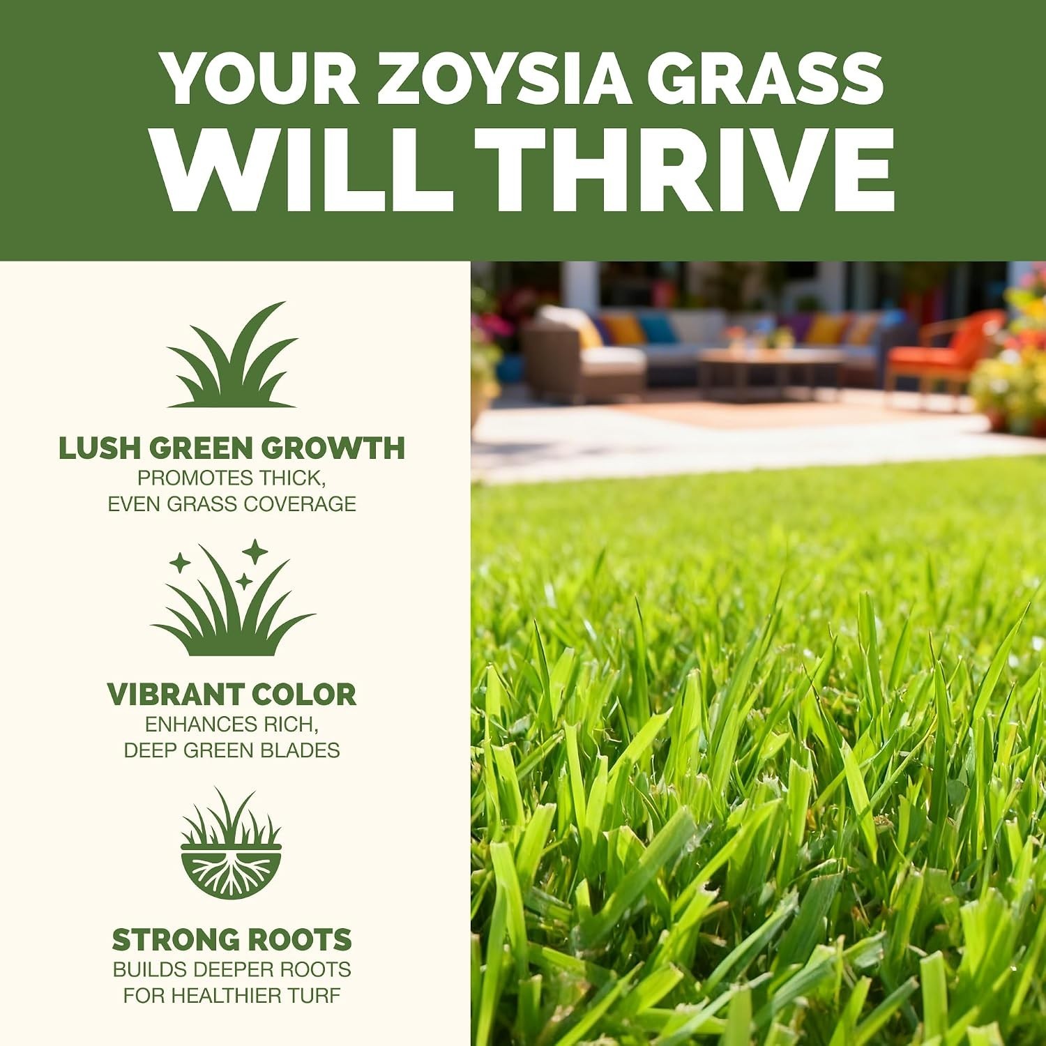 Zoysia Grass Fertilizer – Strong Roots, Green Lawn, 1 Gallon